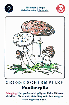 Spielkarte