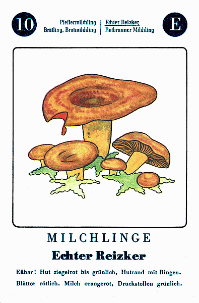 Spielkarte