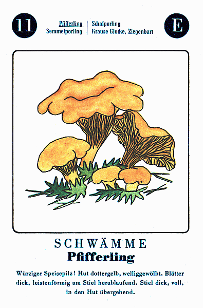 Spielkarte