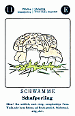Spielkarte