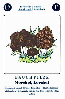Spielkarte