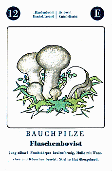 Spielkarte