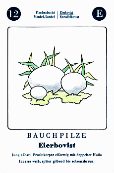 Spielkarte
