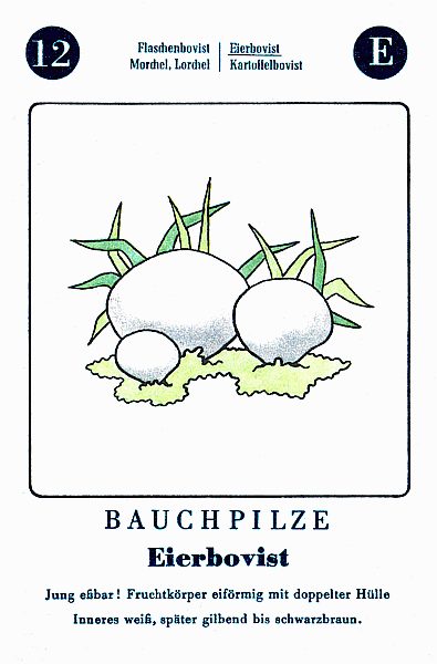 Spielkarte