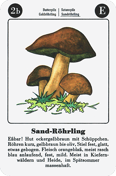 Spielkarte