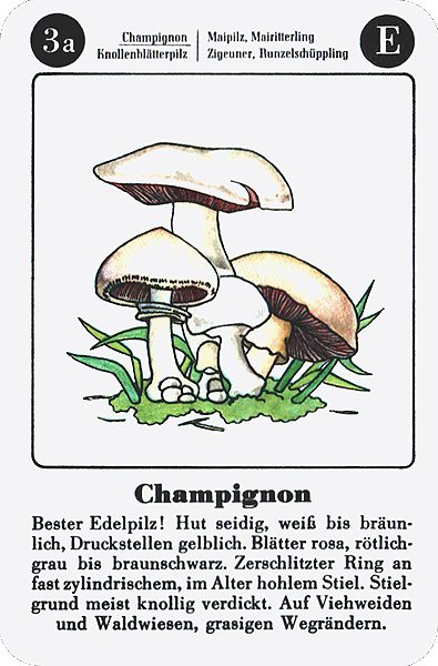 Spielkarte