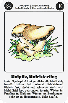 Spielkarte
