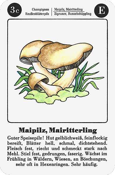 Spielkarte