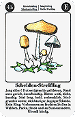 Spielkarte
