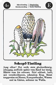 Spielkarte