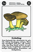 Spielkarte