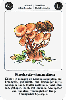 Spielkarte