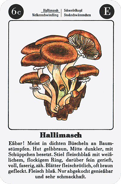 Spielkarte