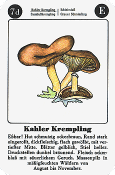Spielkarte
