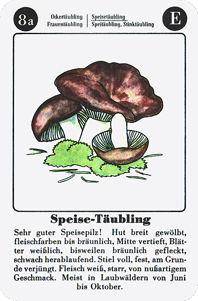 Spielkarte