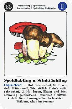 Spielkarte