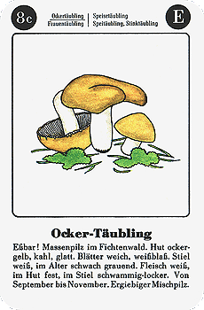 Spielkarte