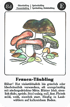 Spielkarte