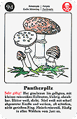 Spielkarte