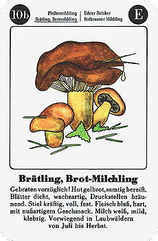 Spielkarte