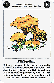 Spielkarte
