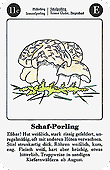 Spielkarte