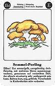 Spielkarte