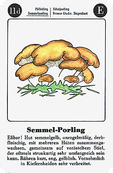 Spielkarte