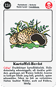Spielkarte