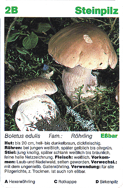 Spielkarte