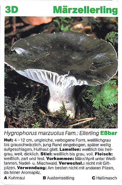 Spielkarte