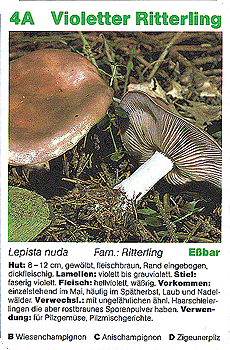 Spielkarte