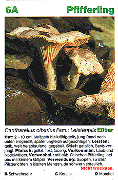 Spielkarte