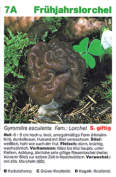 Spielkarte