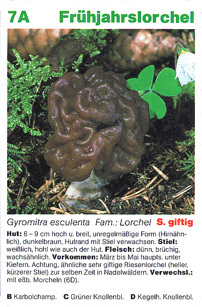 Spielkarte