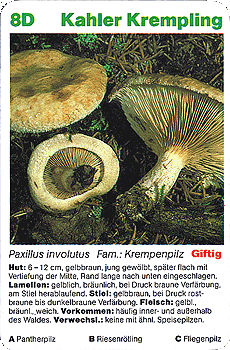 Spielkarte