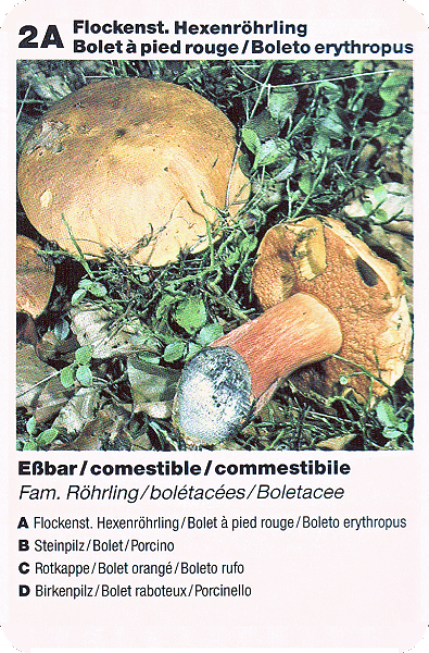 Spielkarte