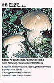 Spielkarte