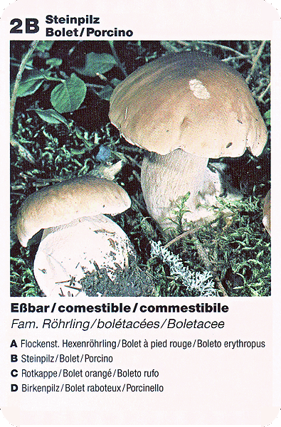 Spielkarte