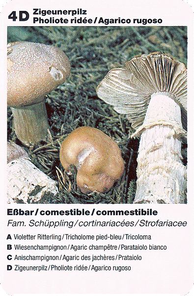 Spielkarte