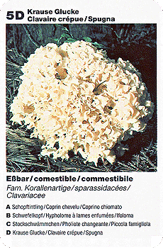 Spielkarte