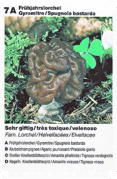 Spielkarte