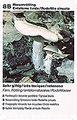 Spielkarte