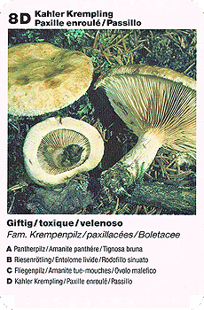 Spielkarte