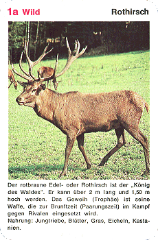 Spielkarte