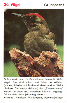Spielkarte