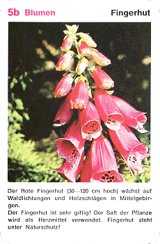 Spielkarte