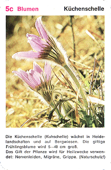 Spielkarte