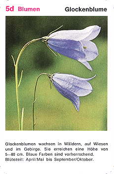 Spielkarte