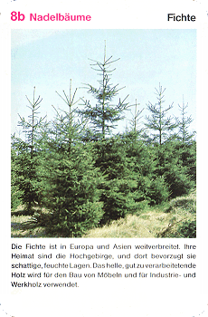 Spielkarte